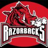 Aesthetic Arkansas Razorbacks Diamond Painting