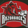 Aesthetic Arkansas Razorbacks Diamond Painting