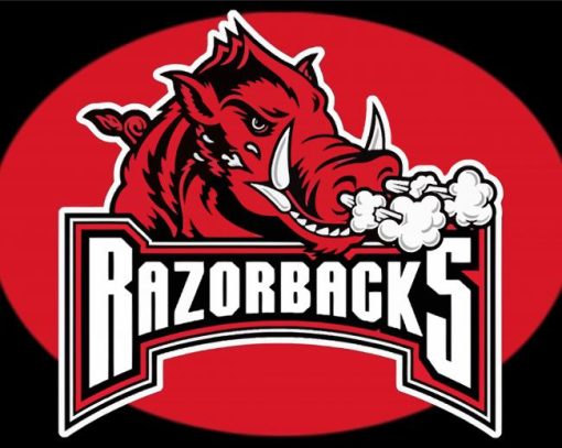 Aesthetic Arkansas Razorbacks Diamond Painting