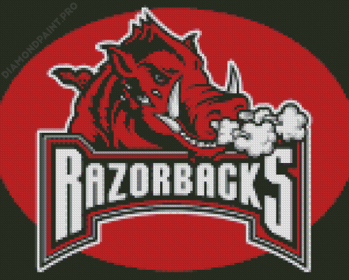 Aesthetic Arkansas Razorbacks Diamond Painting