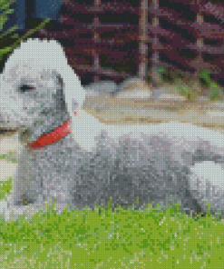 Aesthetic Bedlington Terrier Animal Diamond Painting