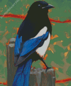 Aesthetic Black Billed Magpie Bird Diamond Painting