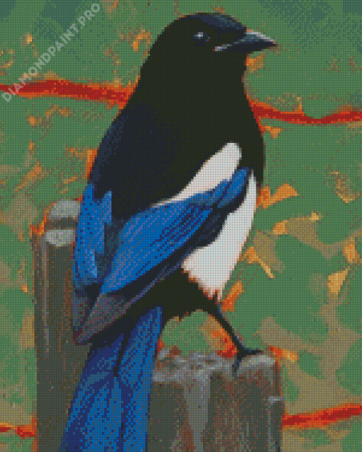 Aesthetic Black Billed Magpie Bird Diamond Painting