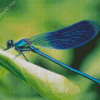 Aesthetic Blue Dragonfly Diamond Painting