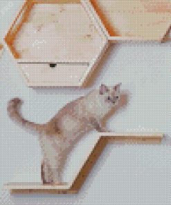 Aesthetic Cat On Wall Diamond Painting