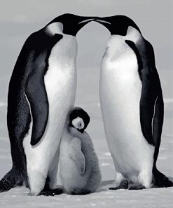 Black And White Penguins Family Diamond Painting