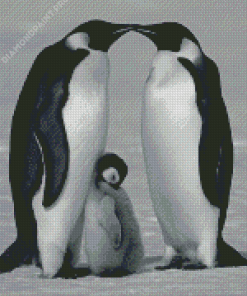 Black And White Penguins Family Diamond Painting