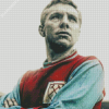 Bobby Moore Art Diamond Paintings