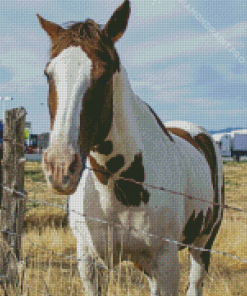 Brown And White Horse Art Diamond Painting