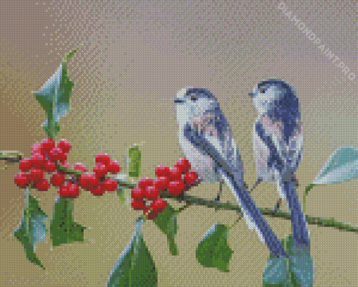 Long Tailed Tit Birds On A Branch Diamond Paintings