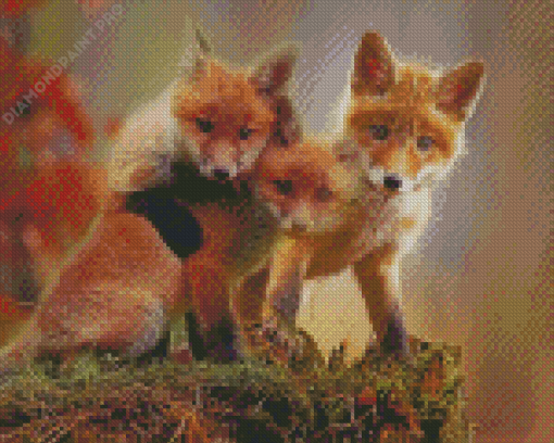 Red Baby Foxes Diamond Painting