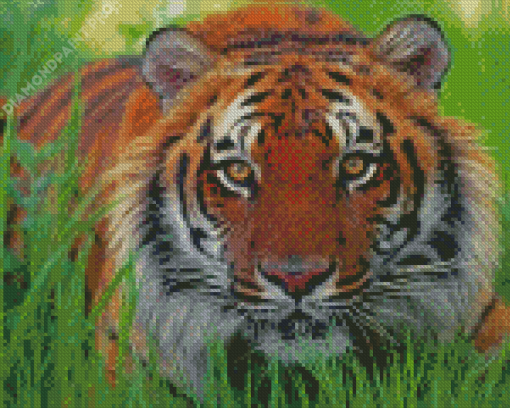 Sneaky Tiger Diamond Painting