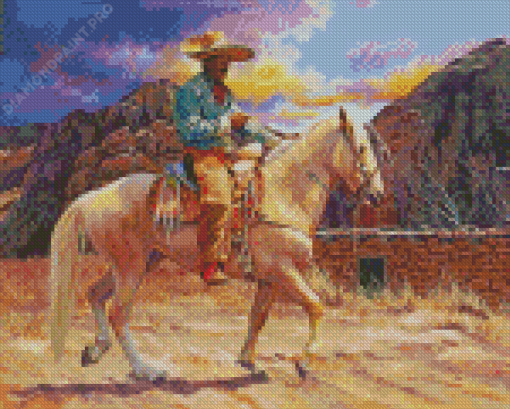 Spanish Cowboy Diamond Paintings