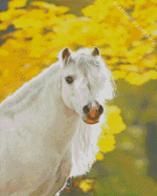 White Welsh Pony Diamond Paintings