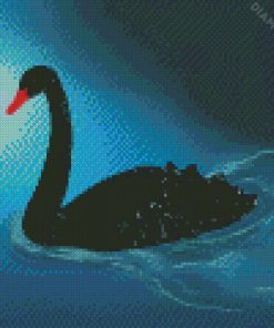Aesthetic Black Swan Art Diamond Painting