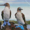 Aesthetic Blue Footed Boob Art Diamond Painting