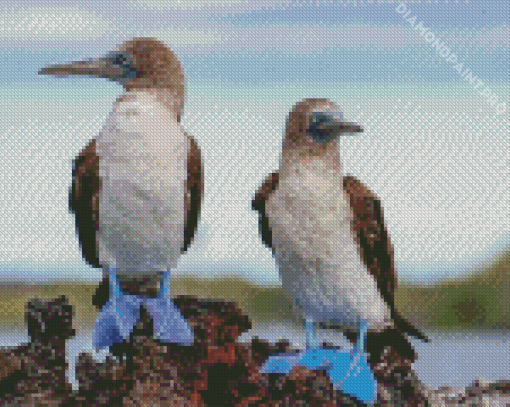 Aesthetic Blue Footed Boob Art Diamond Painting