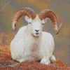 Aesthetic Ram Sheep Animal Diamond Painting