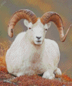 Aesthetic Ram Sheep Animal Diamond Painting