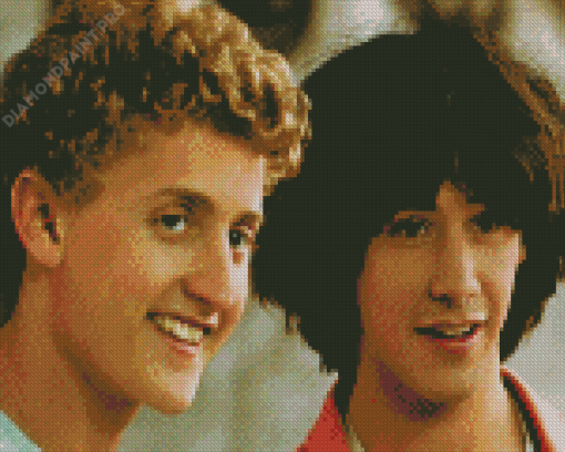 Aesthetic Bill And Ted Diamond Painting