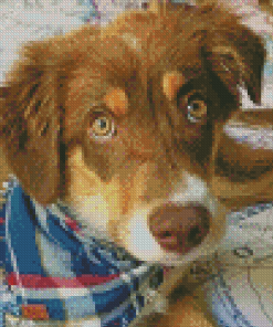 Aesthetic Brown Border Collie Dog Diamond Painting