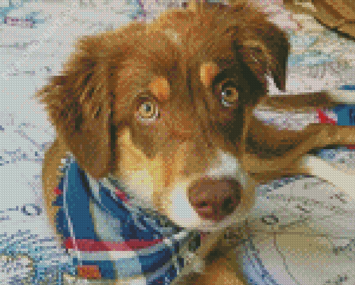 Aesthetic Brown Border Collie Dog Diamond Painting
