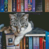 Aesthetic Cats In Bookshelves Diamond Painting