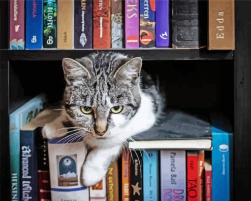 Aesthetic Cats In Bookshelves Diamond Painting