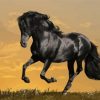 Black Alone Horse Diamond Painting
