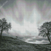 Black And White Moody Landscape Diamond Painting