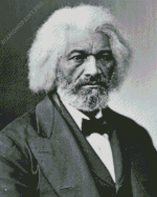 Black And White Frederick Douglass Diamond Painting