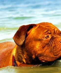 Brown Dog Swimming Diamond Paintings