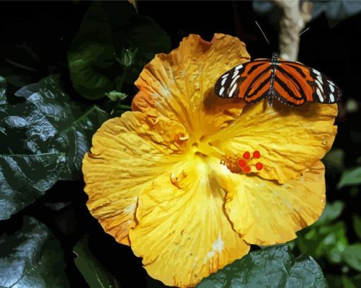 Butterfly On Orange Hibiscus Diamond Paintings