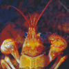 Close Up Golden Crayfish Diamond Painting