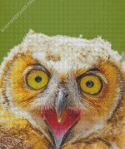 Creepy Fierce Owl Diamond Painting