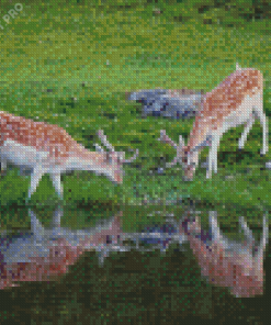 Cute Deer By The River Diamond Paintings