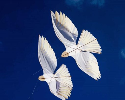 Doves Kites Diamond Paintings