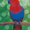 Eclectus Parrot Diamond Paintings
