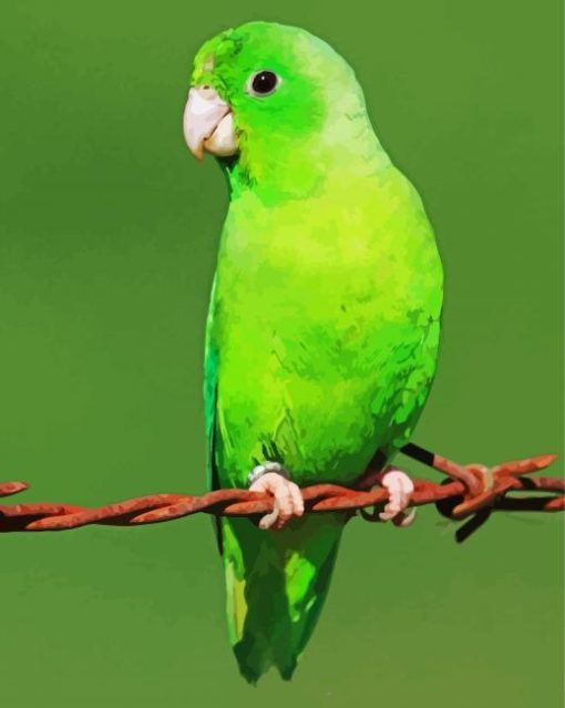 Green Parrotlet Bird Diamond Painting