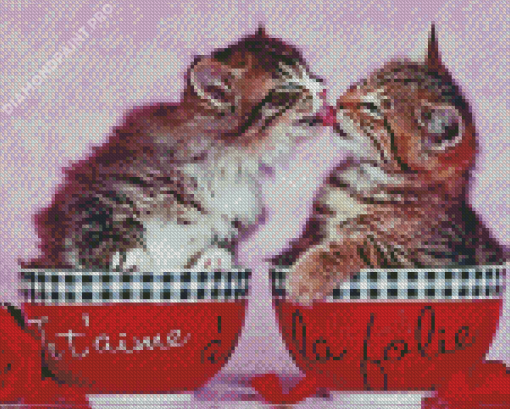 Lovers Kittens In Cup Diamond Painting