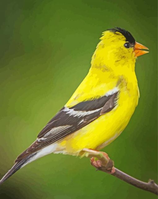 Yellow Finch Side Profile Diamond Painting