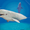Beluga Whales Underwater Diamond Painting