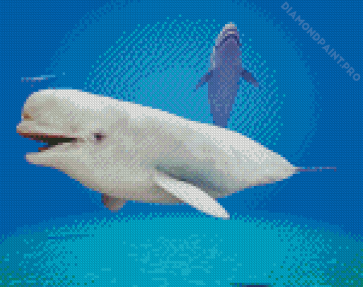 Beluga Whales Underwater Diamond Painting