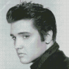 Black And White Elvis Diamond Painting