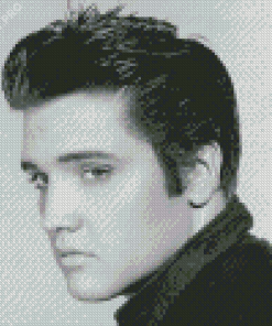 Black And White Elvis Diamond Painting