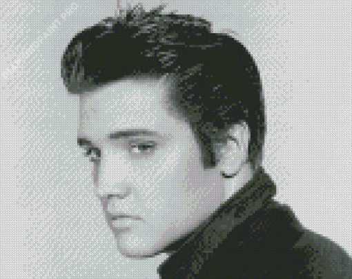 Black And White Elvis Diamond Painting