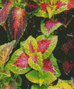 Bright Colorful Plants Diamond Painting