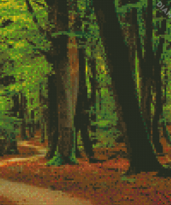 Forest Trail Diamond Painting