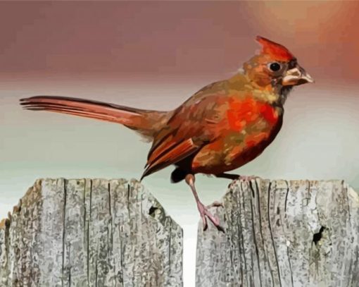 Aesthetic Juvenile Cardinal Bird Diamond Painting