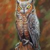 Aesthetic Long Eared Owl Illustration Diamond Painting